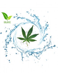 Ανθόνερο Κάνναβης Bio 150ml
